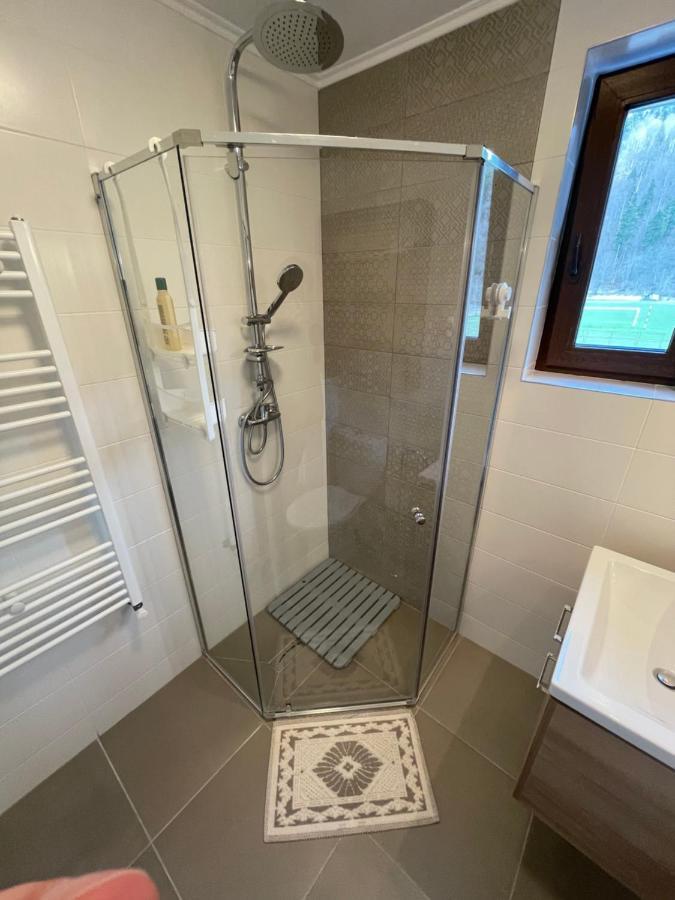 Castle Residence Apt. Eminescu Busteni Ngoại thất bức ảnh