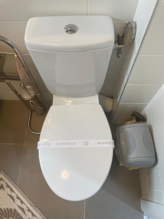 Castle Residence Apt. Eminescu Busteni Ngoại thất bức ảnh
