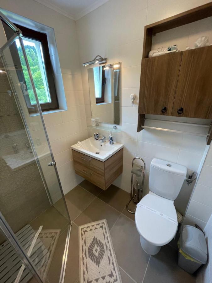 Castle Residence Apt. Eminescu Busteni Ngoại thất bức ảnh